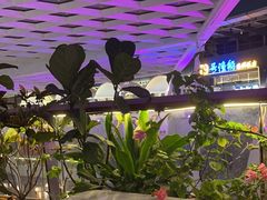 -润园四季椰子鸡火锅(海上世界店)