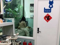 -纳吉亚猫专科动物医院·北北分院