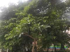 -万达广场(东莞厚街店)