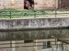 -合肥野生动物园