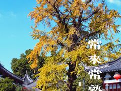 -常熟方塔园