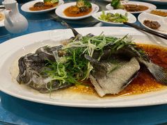清蒸开刀海石斑-阿一鲍鱼·20年匠心传承(天河北旗舰店)