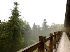 -广州市帽峰山景区