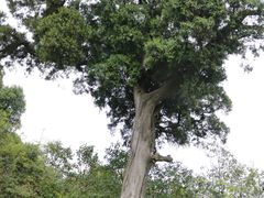 -金堂县云顶石城风景区