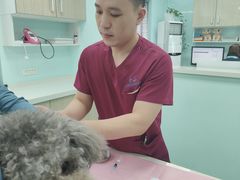 -北京观赏动物医院·24小时大型综合·猫专科·异宠专科