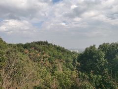 -宁波市保国寺古建筑博物馆