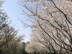 -白塘生态植物园