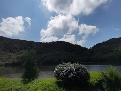 -大围山国家森林公园