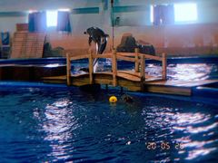 -华夏文旅海洋公园