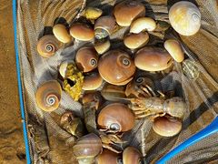 -东戴河风景区-止锚湾