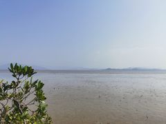 -深圳湾公园(南山区)