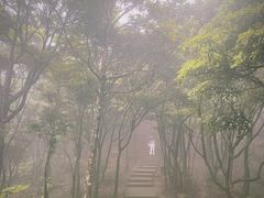 -梧桐山风景名胜区