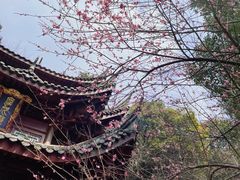 -韬光茶庵
