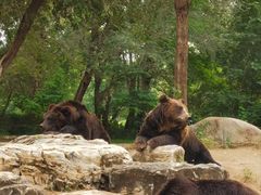 -北京野生动物园