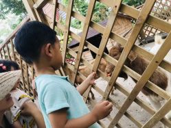 -萌宠亲子动物乐园(槐房万达店)