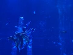 -南昌融创海世界