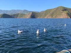 -丽江泸沽湖景区