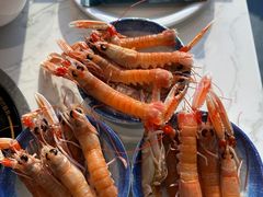 -半岛听涛蒸汽海鲜自助(K11店)