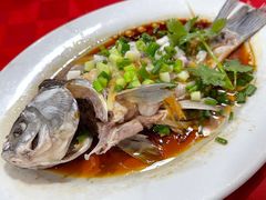-先鲜鲫鱼粥