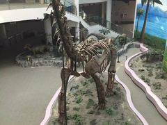 -辽宁古生物博物馆