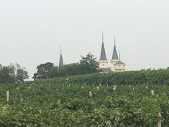 -北京张裕爱斐堡酒庄