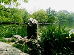 -紫霞湖公园
