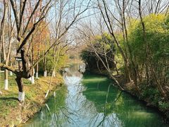 -西溪国家湿地公园