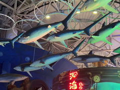 -烟台海昌鲸鲨海洋公园
