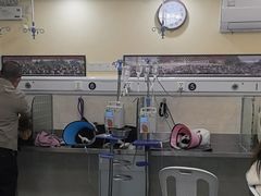 -动物缘宠物医院·骨科·猫科(西二环店)