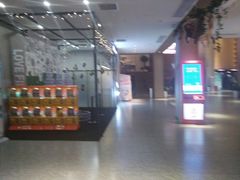 -深影国际影城(学院南路店CGS中国巨幕店)