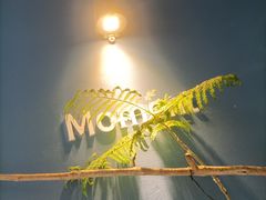 -Moment coffee莳光里咖啡