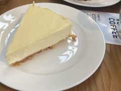 -VOYAGE COFFEE(杨梅竹店)