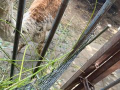 -河北村民俗体验园