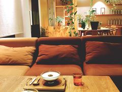 -柴务处·柴犬主题狗咖