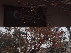 -莆田南少林寺