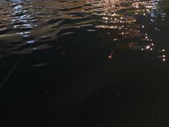 -DGE季风钓虾营地·团建·聚会