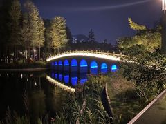 -四海公园(南山区)