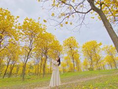 -松山湖梦幻百花洲