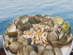 -蓝湾碧波·老字号·疍家非遗海上餐厅