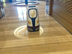 -无锡新湖铂尔曼大酒店