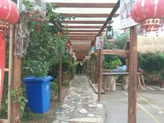 -南宁良凤江国家森林公园