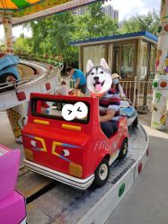 -大望京儿童游乐场