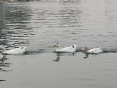 -西安汉城湖景区