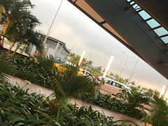 -西沃古尔·拉姆古兰爵士国际机场