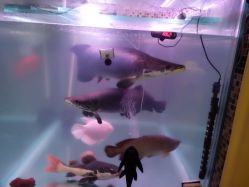 android_upload_pic-脉道美容养生会所