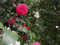 -浙江省博物馆(孤山馆区)