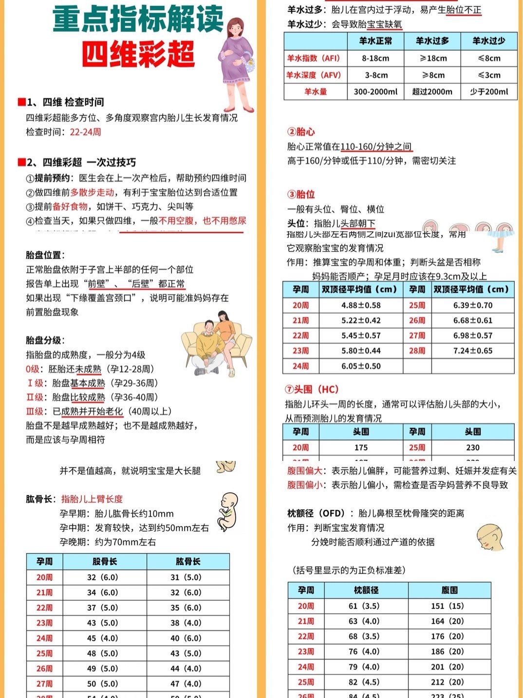 四维彩超