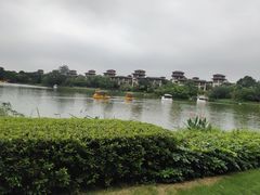 -美的鹭湖森林度假区