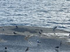 -星海广场