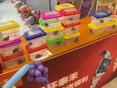 -小天才步步高(泰禾广场旗舰店)